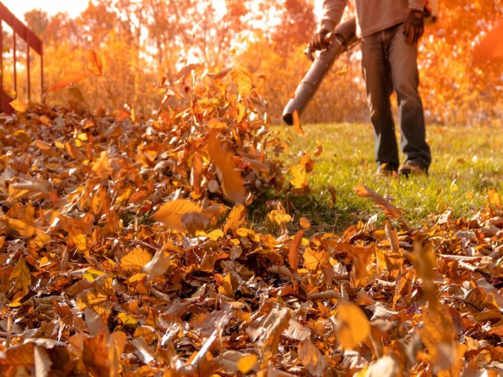 Fall Clean-Up Services