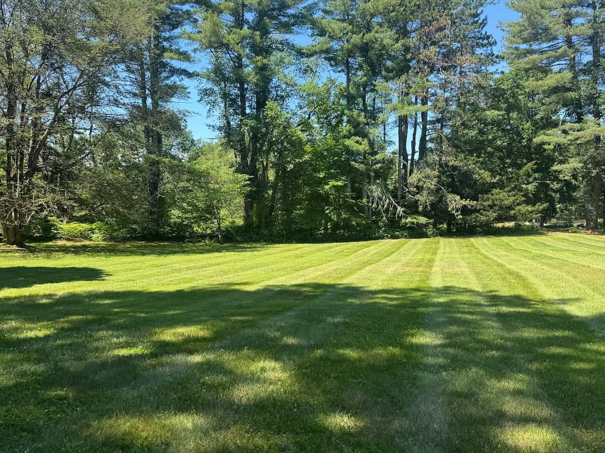 Sod Installation