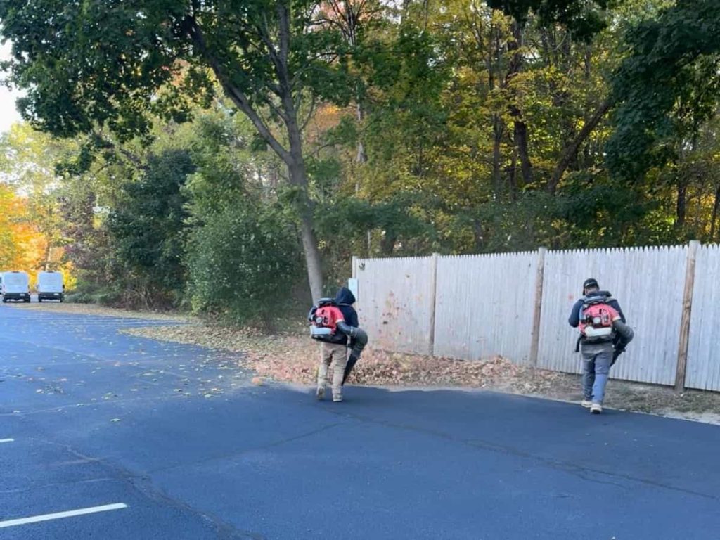 Fall Clean-Up Services