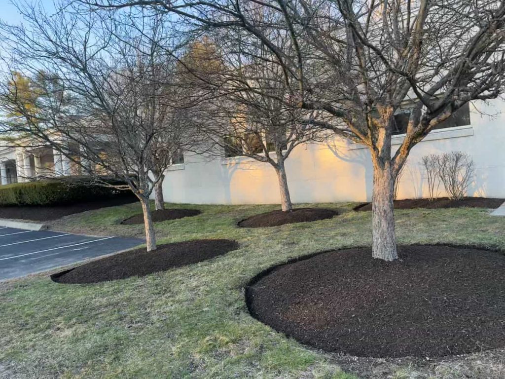 Mulching