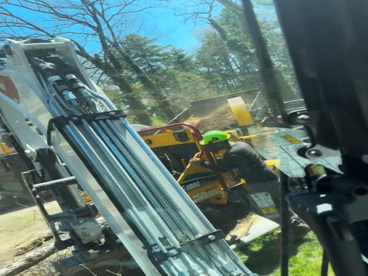 Tree Stump Grinding