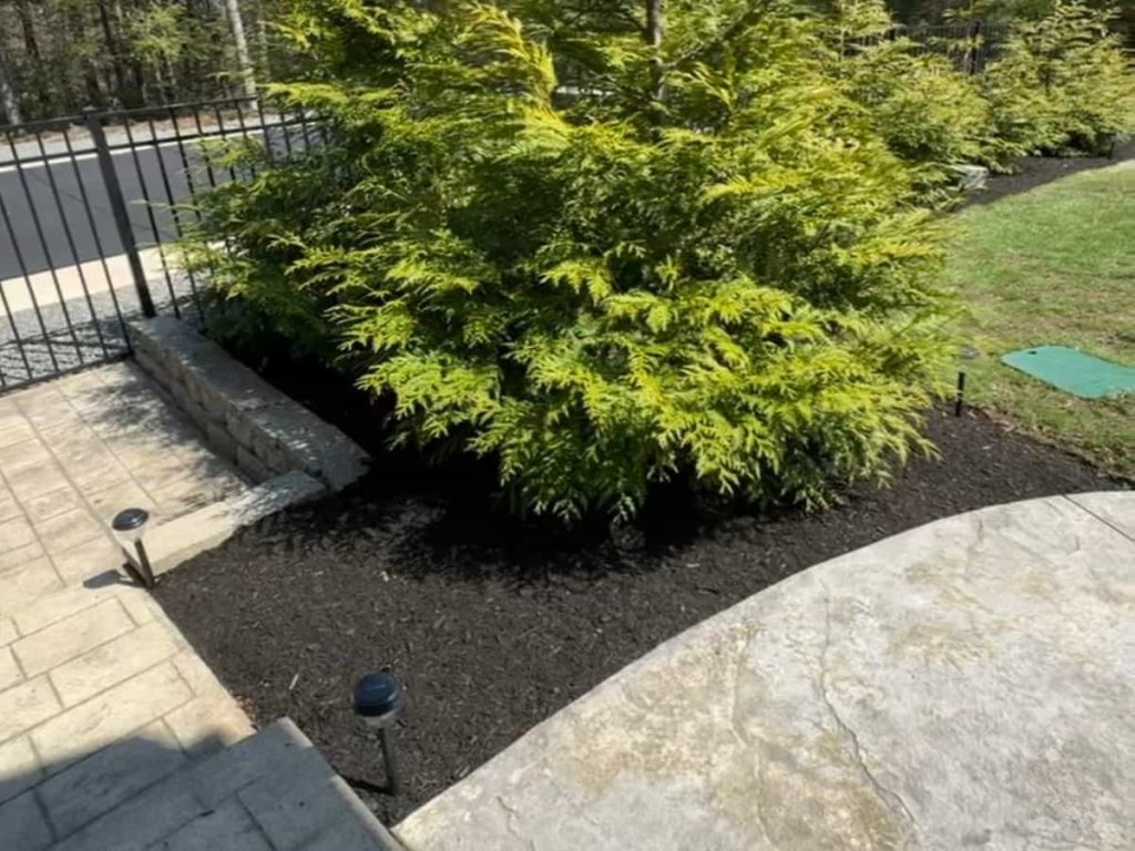 Mulching Installation in Newton, NH